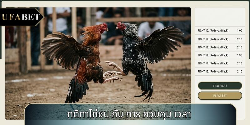 กติกาไก่ชน กับ การ ควบคุม เวลา กติกาไก่ชน กับ การ ควบคุม เวลา