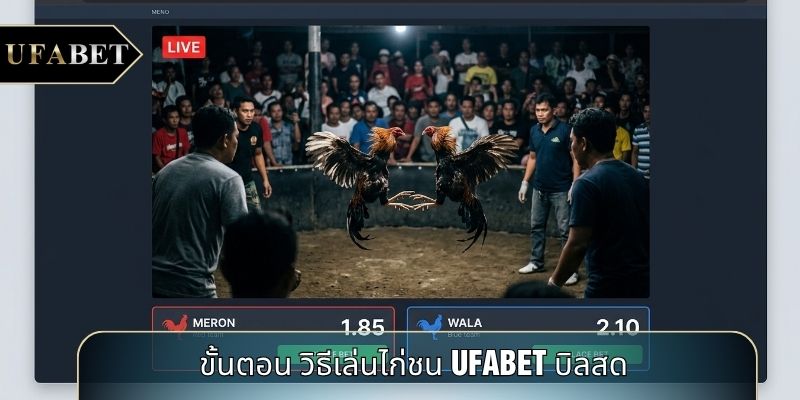 ขั้นตอน วิธีเล่นไก่ชน UFABET บิลสด ขั้นตอน วิธีเล่นไก่ชน UFABET บิลสด
