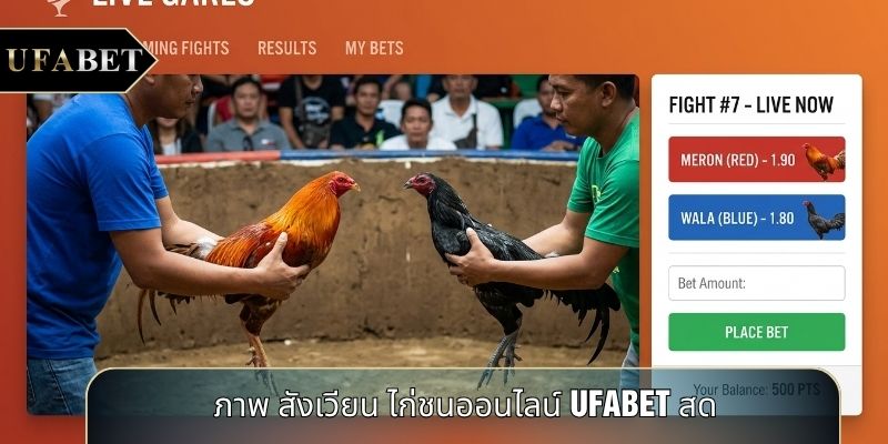 ภาพ สังเวียน ไก่ชนออนไลน์ UFABET สด ภาพ สังเวียน ไก่ชนออนไลน์ UFABET สด