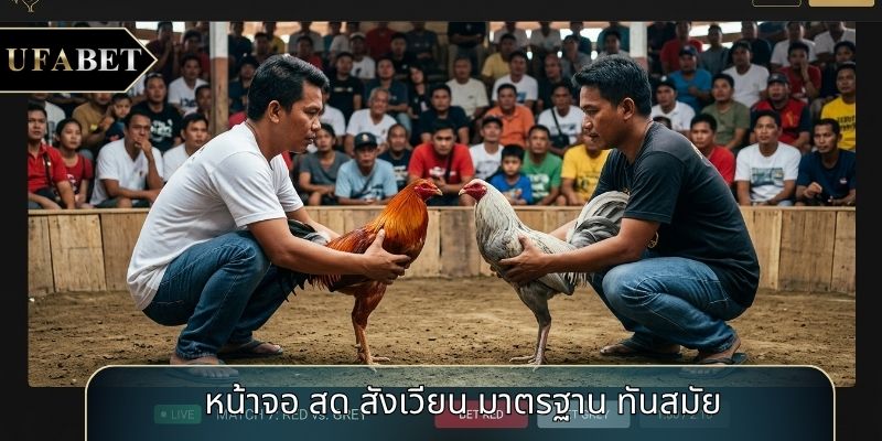 หน้าจอ สด สังเวียน มาตรฐาน ทันสมัย หน้าจอ สด สังเวียน มาตรฐาน ทันสมัย